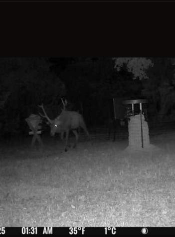 180 Bee Hive Road Hunt TX 78024