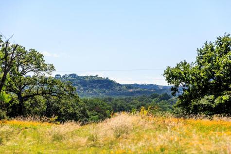 3610 Welgehausen Road Fredericksburg TX 78624