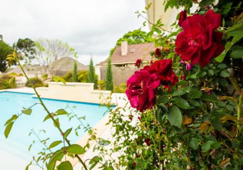 2208 Amberstone Fredericksburg TX 78624