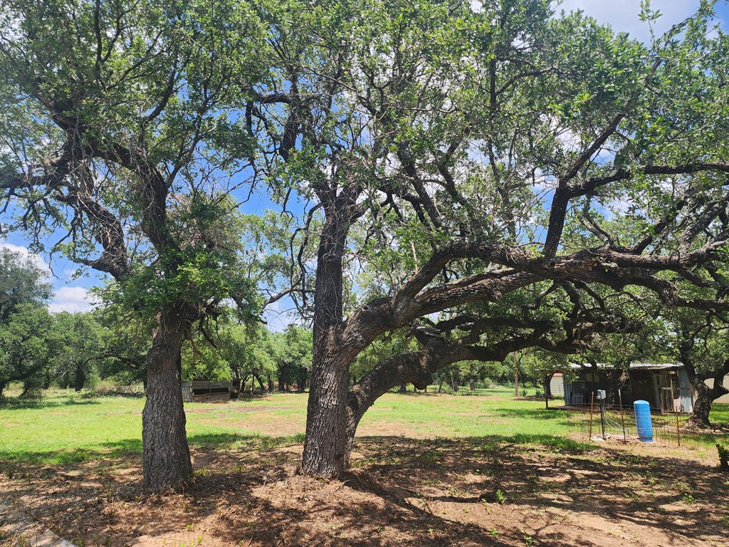 421 E Fm 501 Cherokee TX 76832