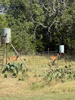 1983 Wendel Ahrens Road Fredericksburg TX 78624