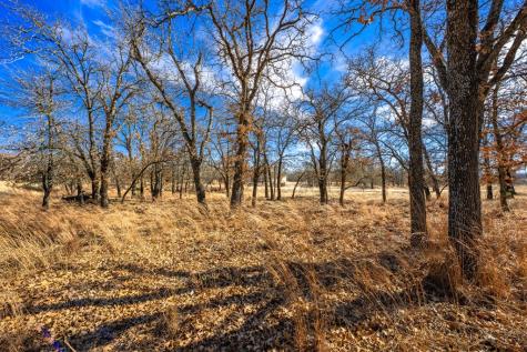 415 Mystic Oaks Trail Fredericksburg TX 78624