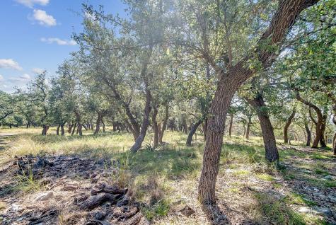 815 Oxen Trail Fredericksburg TX 78624