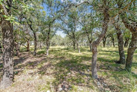 815 Oxen Trail Fredericksburg TX 78624