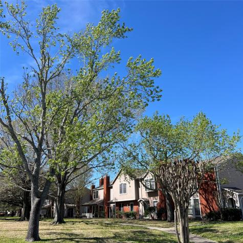17249 Saturn Lane Houston TX 77058