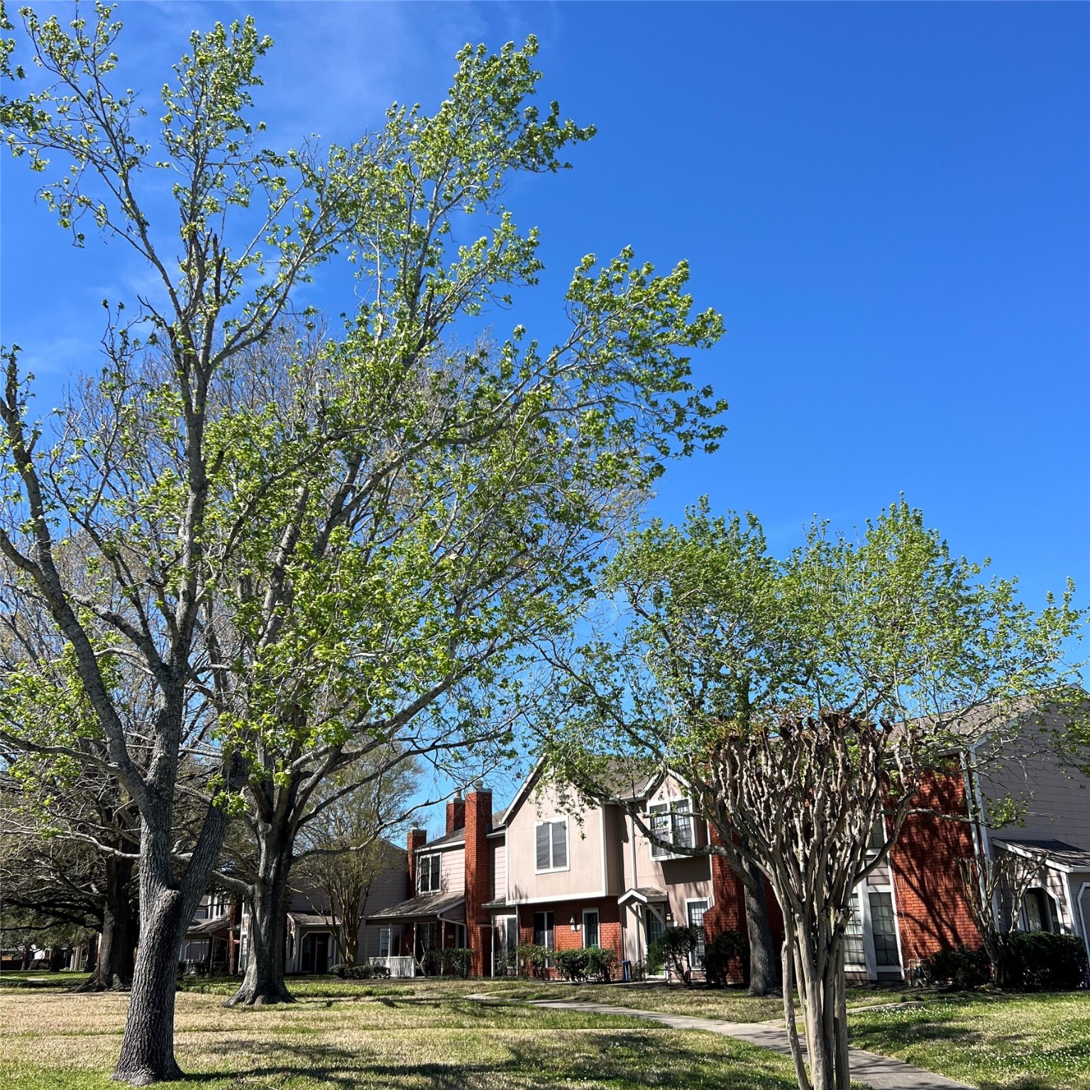 17249 Saturn Lane Houston TX 77058