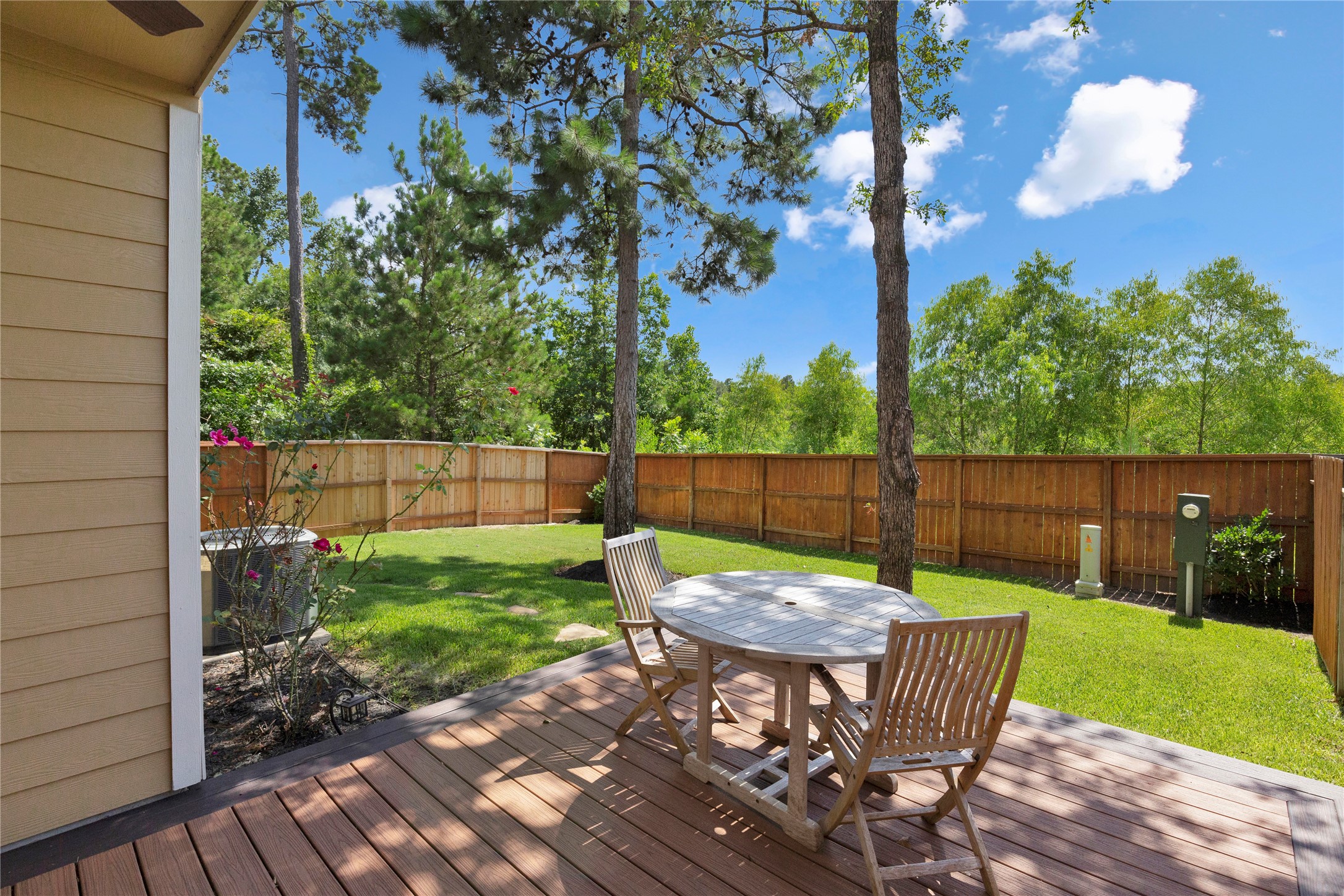 146 Mimosa Silk Court Montgomery TX 77316