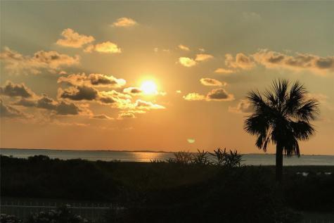 26540 Mangrove Drive 203 Galveston TX 77554