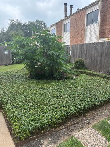 10123 Waterstone Drive 39 Houston TX 77042