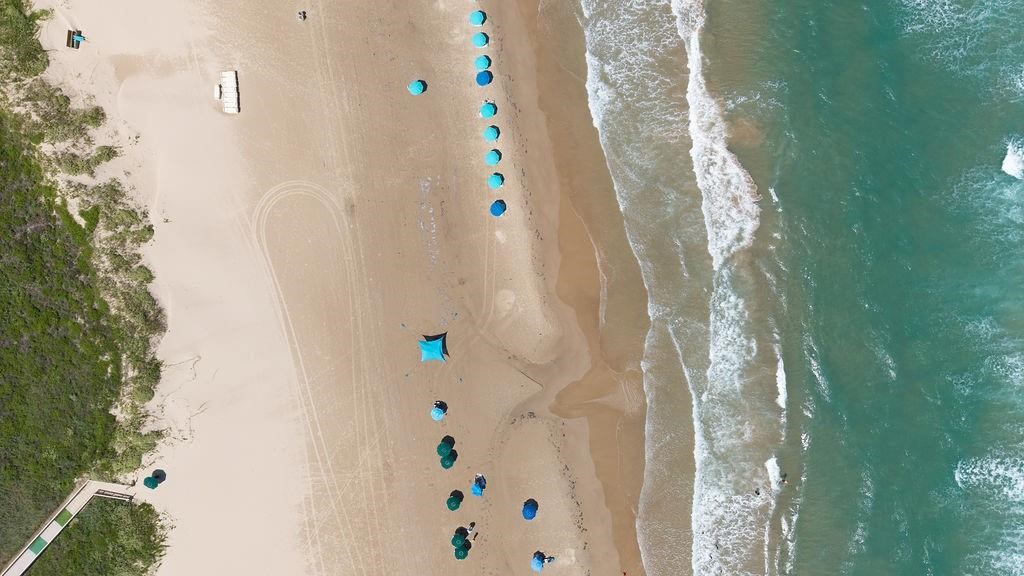 310 Padre Boulevard 1219 South Padre Island TX 78597