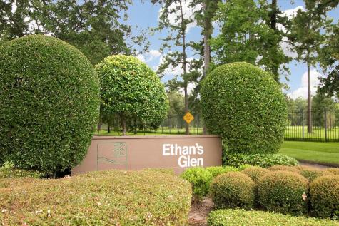 318 Litchfield Lane Houston TX 77024