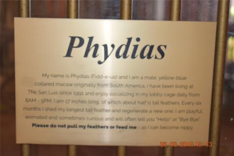 5220 Seawall Boulevard 1036c-2 Galveston TX 77551