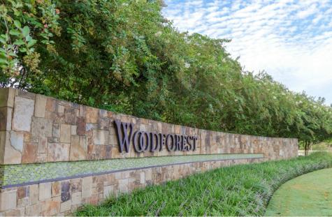 519 Water Ash Court Montgomery TX 77316