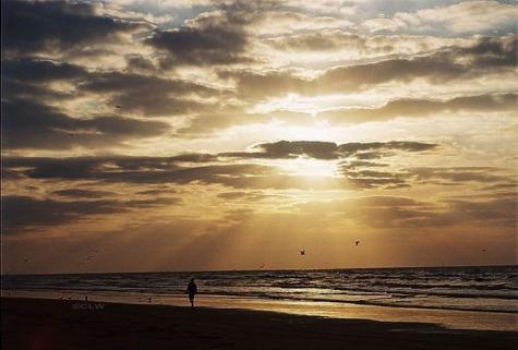 9420 Seawall Boulevard 804 Galveston TX 77554
