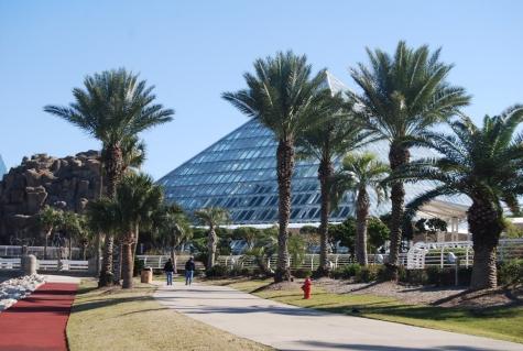 9420 Seawall Boulevard 804 Galveston TX 77554
