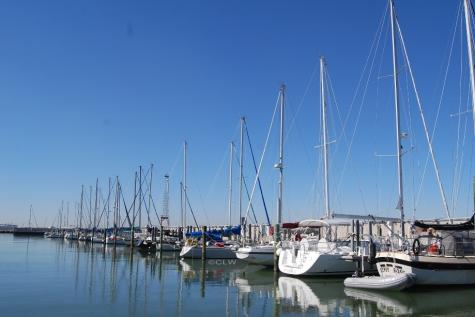 9420 Seawall Boulevard 804 Galveston TX 77554