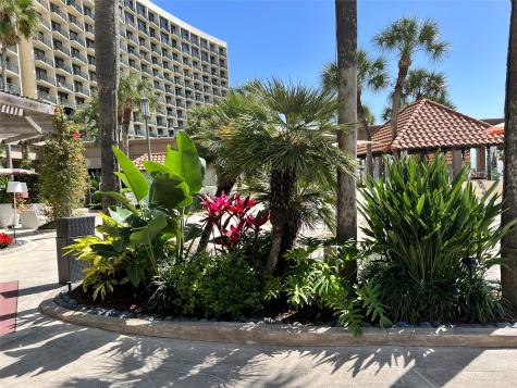 5220 Seawall Boulevard 1534d Galveston TX 77551