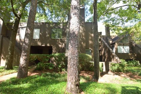 169 Litchfield Lane Houston TX 77024