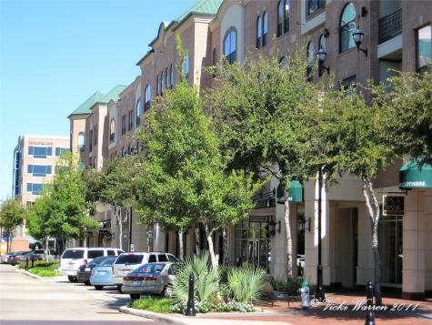 2299 Lone Star Drive 344 Sugar Land TX 77479