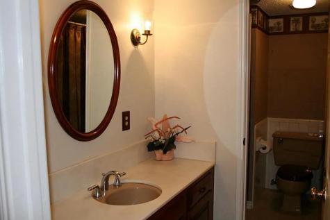 131 Phanturn Lane Bellaire TX 77401