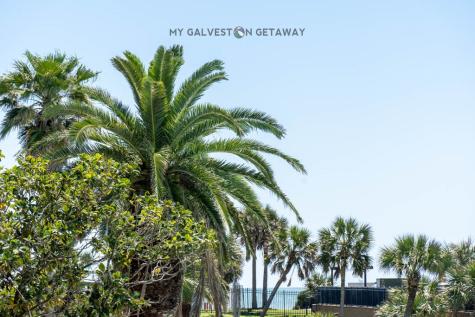 9520 Seawall Boulevard 143 Galveston TX 77554