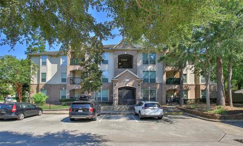 6607 Lake Woodlands Drive 223 The Woodlands TX 77382