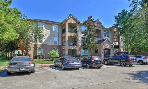 6607 Lake Woodlands Drive 223 The Woodlands TX 77382