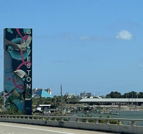 5220 Seawall Boulevard 537d Galveston TX 77551