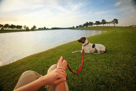 21126 Medina River Drive Cypress TX 77433