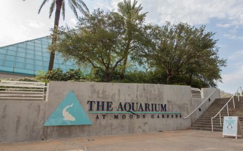 7000 Seawall Boulevard 824 Galveston TX 77551