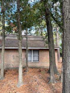 12314 Wild Pine Drive D Houston TX 77039