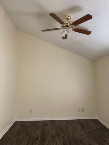 12314 Wild Pine Drive D Houston TX 77039