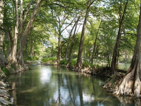 730 E Mather Street L101 New Braunfels TX 78130