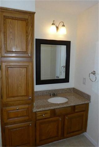 14119 Briarsage Court 9 Houston TX 77077