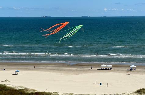 801 E Beach Drive Tw0904 Galveston TX 77550