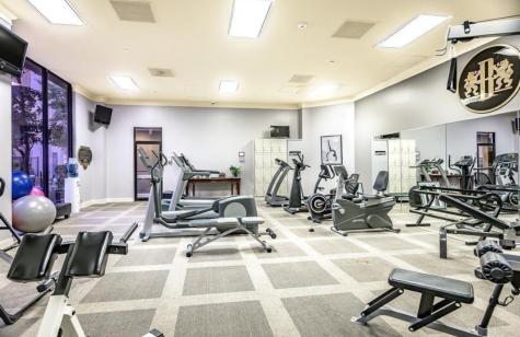 3350 Mccue Road 1901 Houston TX 77056