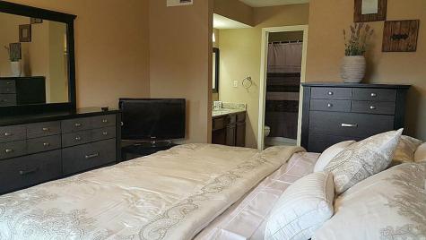 10555 Turtlewood Court 3005 Houston TX 77072