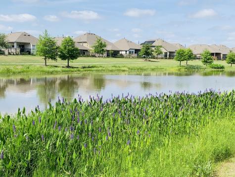 24118 Prairie Crabapple Court Katy TX 77493
