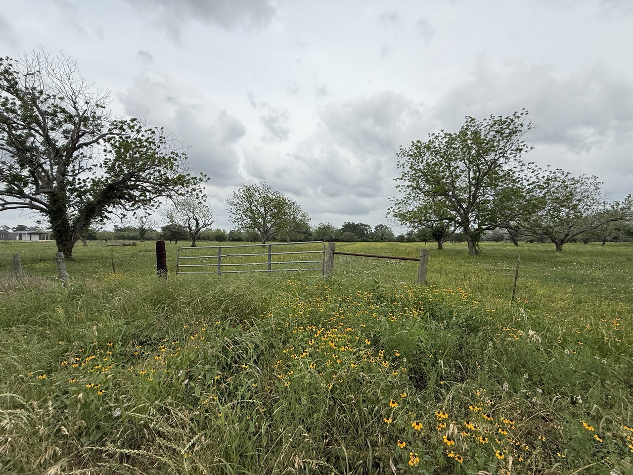 0 Orchard Drive Wharton TX 77488