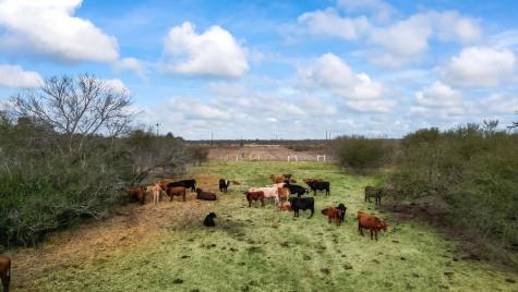 14872 Fm 359 Hempstead TX 77445