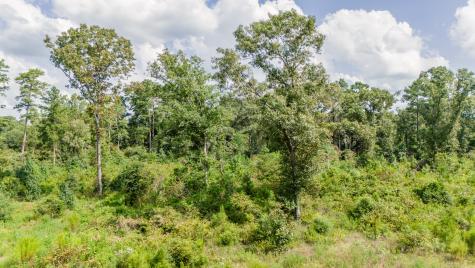 17171 E Fm 1097 Road Willis TX 77378