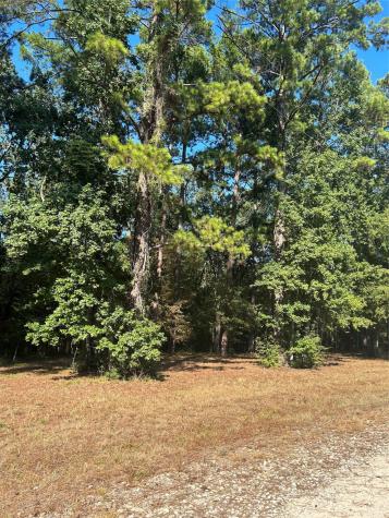 575859 Grand Pine Circle Livingston TX 77351