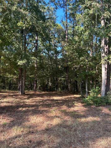 575859 Grand Pine Circle Livingston TX 77351