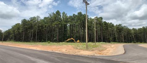 107 Henry Stuart Court Huntsville TX 77340