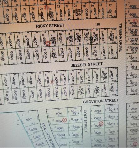 0 Colt Street Houston TX 77033