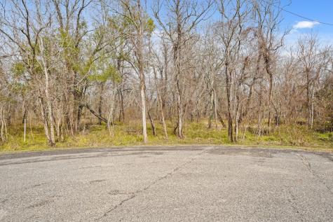 17502 Red Fork Drive Rosharon TX 77583