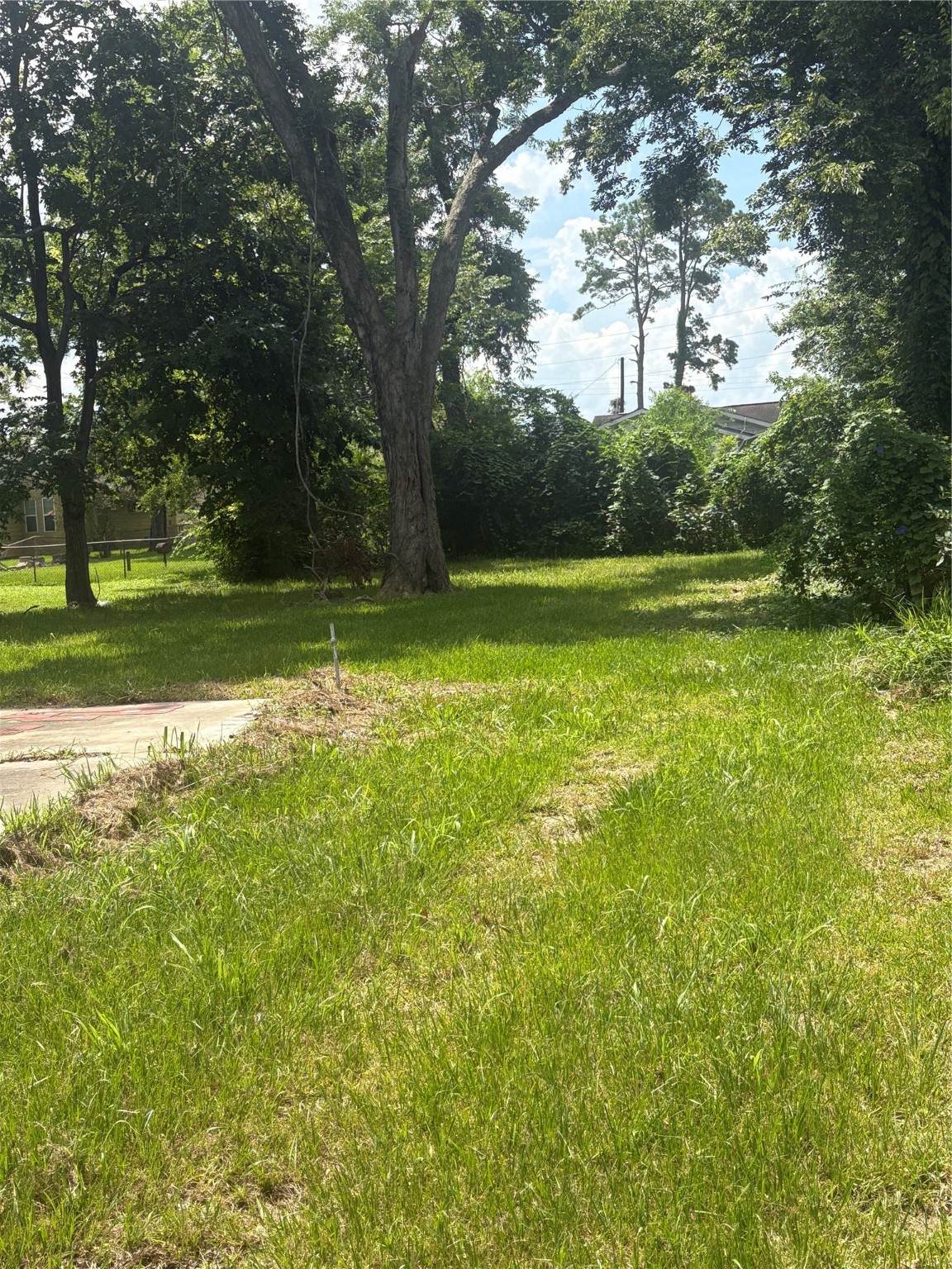 2031 Delaware Street Beaumont TX 77703