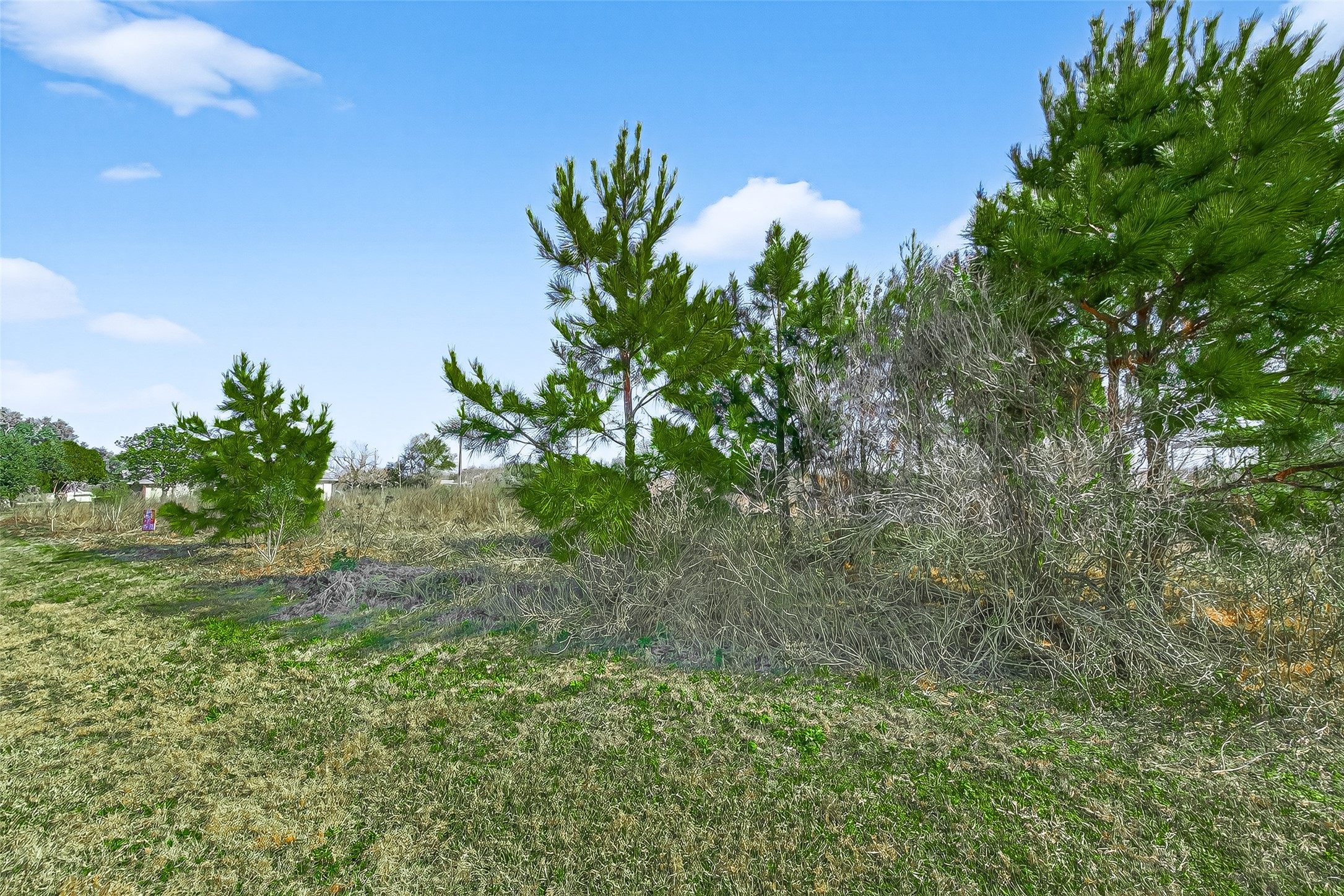 0 Ruby Drive Prairie View TX 77484