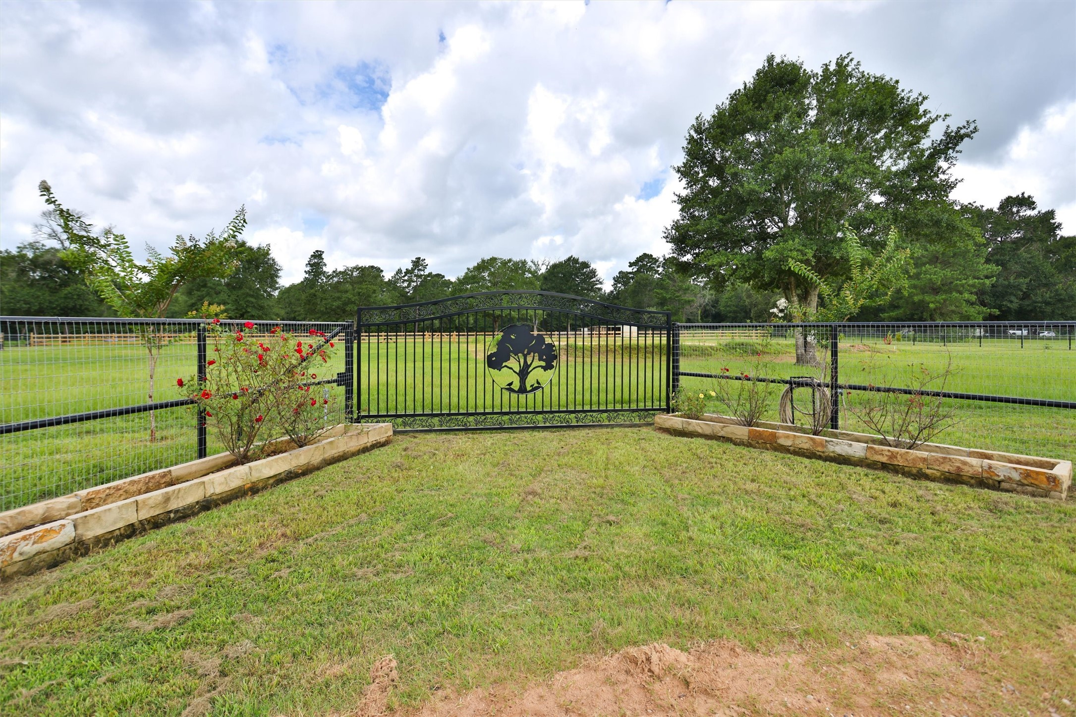 12923 Kowis Lane Plantersville TX 77363
