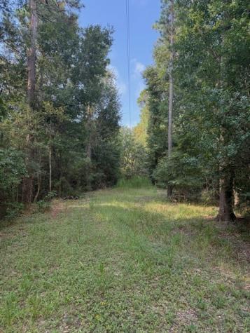 25571 Kimbro Road Hockley TX 77447